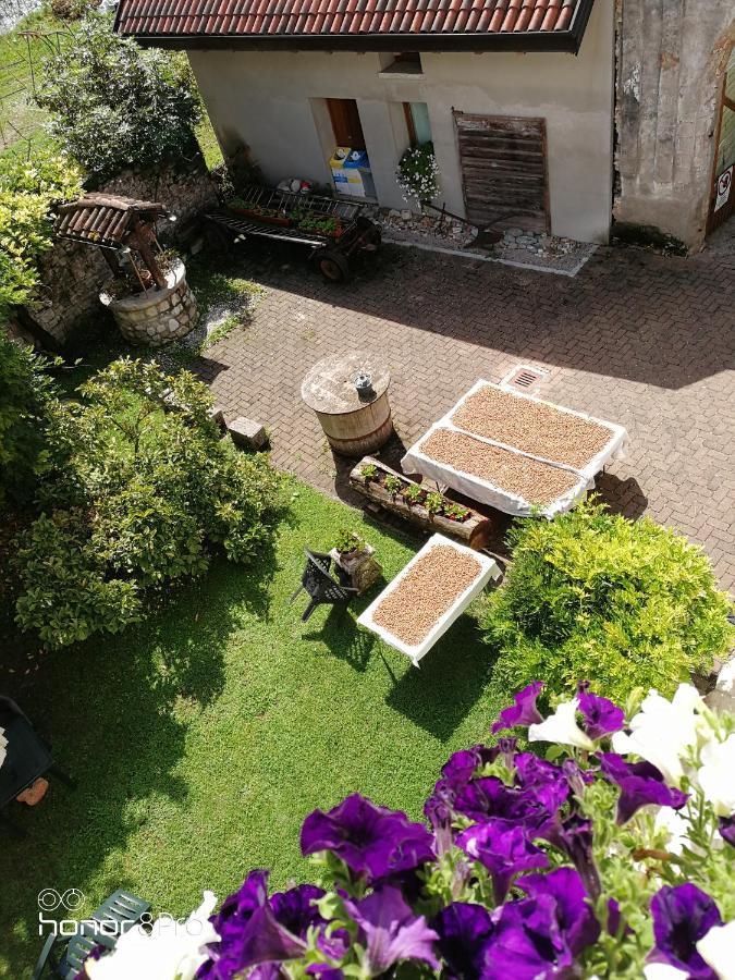 Agriturismo Antica Pieve Limana ภายนอก รูปภาพ